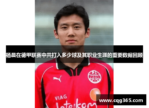杨晨在德甲联赛中共打入多少球及其职业生涯的重要数据回顾