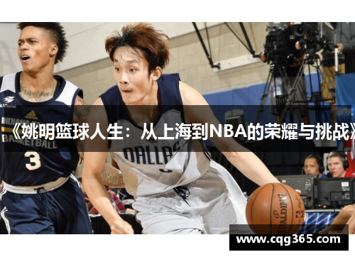 《姚明篮球人生：从上海到NBA的荣耀与挑战》