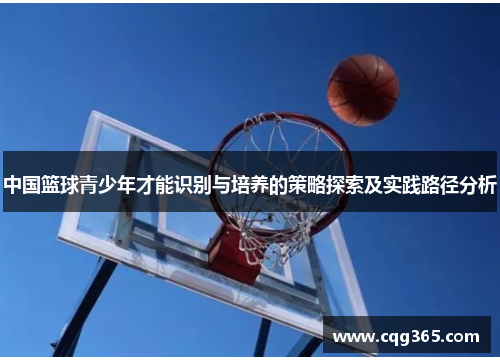 中国篮球青少年才能识别与培养的策略探索及实践路径分析