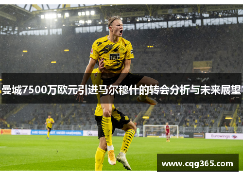曼城7500万欧元引进马尔穆什的转会分析与未来展望