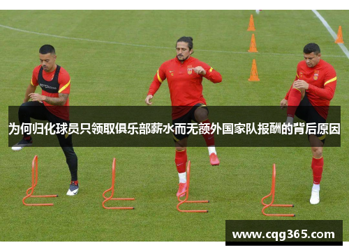 为何归化球员只领取俱乐部薪水而无额外国家队报酬的背后原因